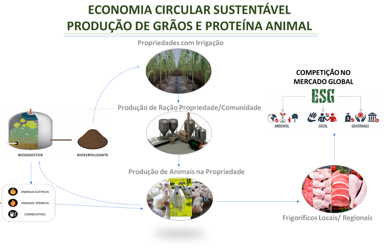 produção de grãos e proteína animal